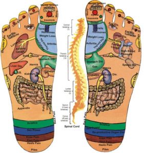 Đôi bàn chân thể hiện toàn bộ nội tạng trong cơ thể